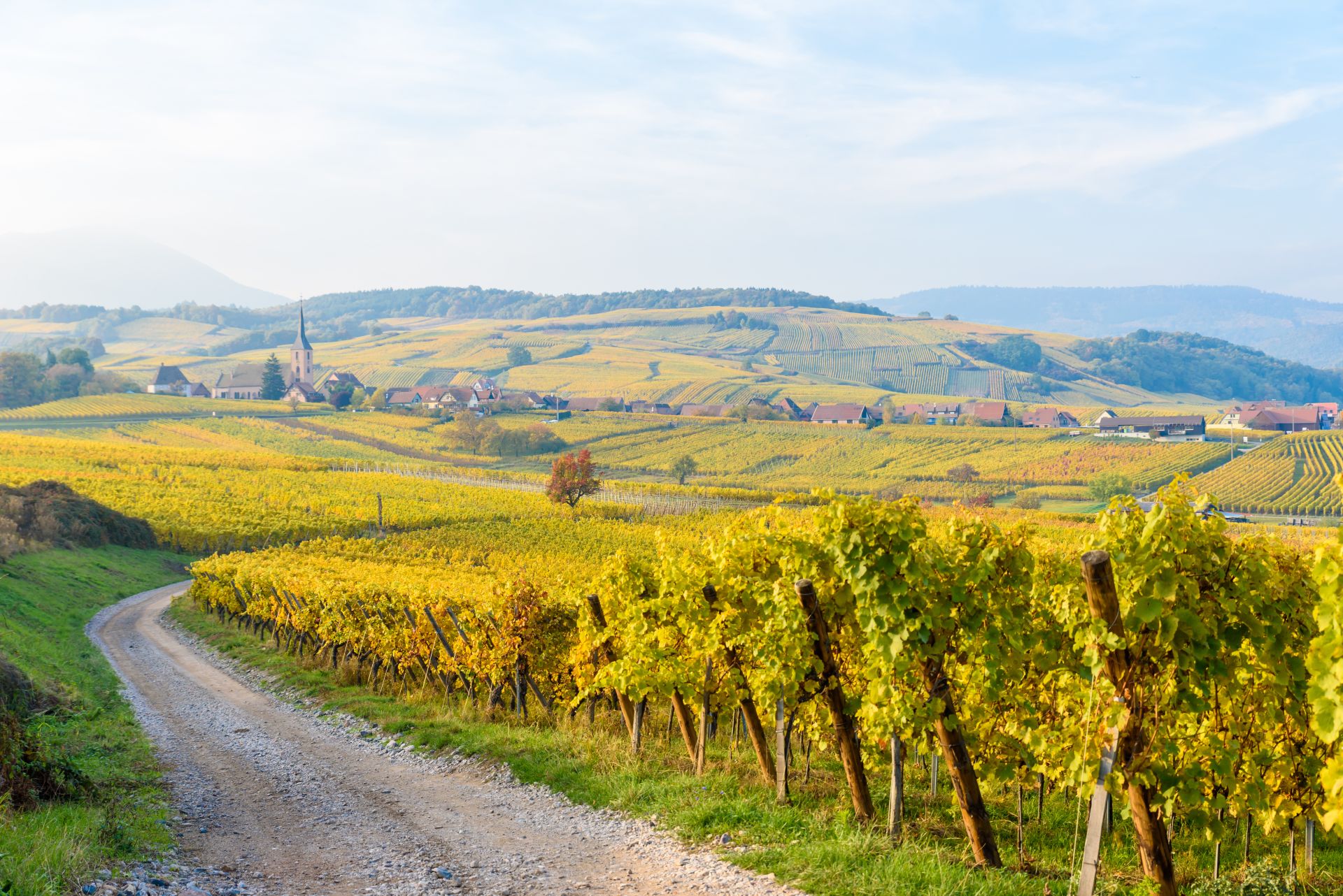 A Taste of Alsace - 5 Days
