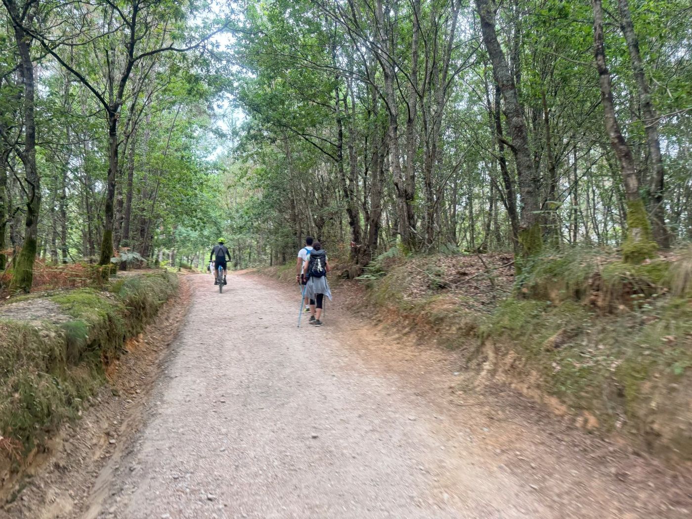 Walking-The-Portuguese-Camino (8)