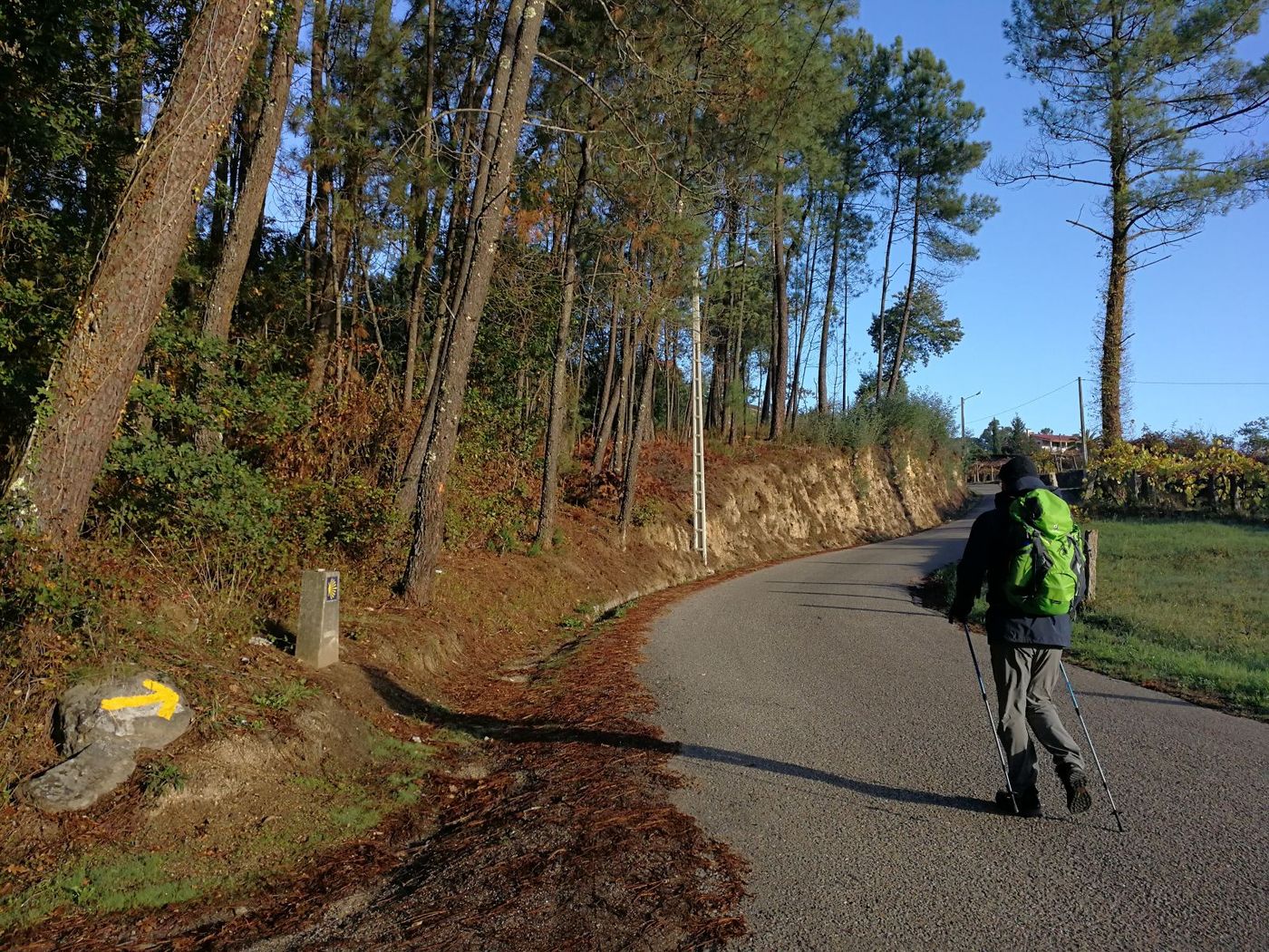 Walking-The-Portuguese-Coastal-Camino (35)