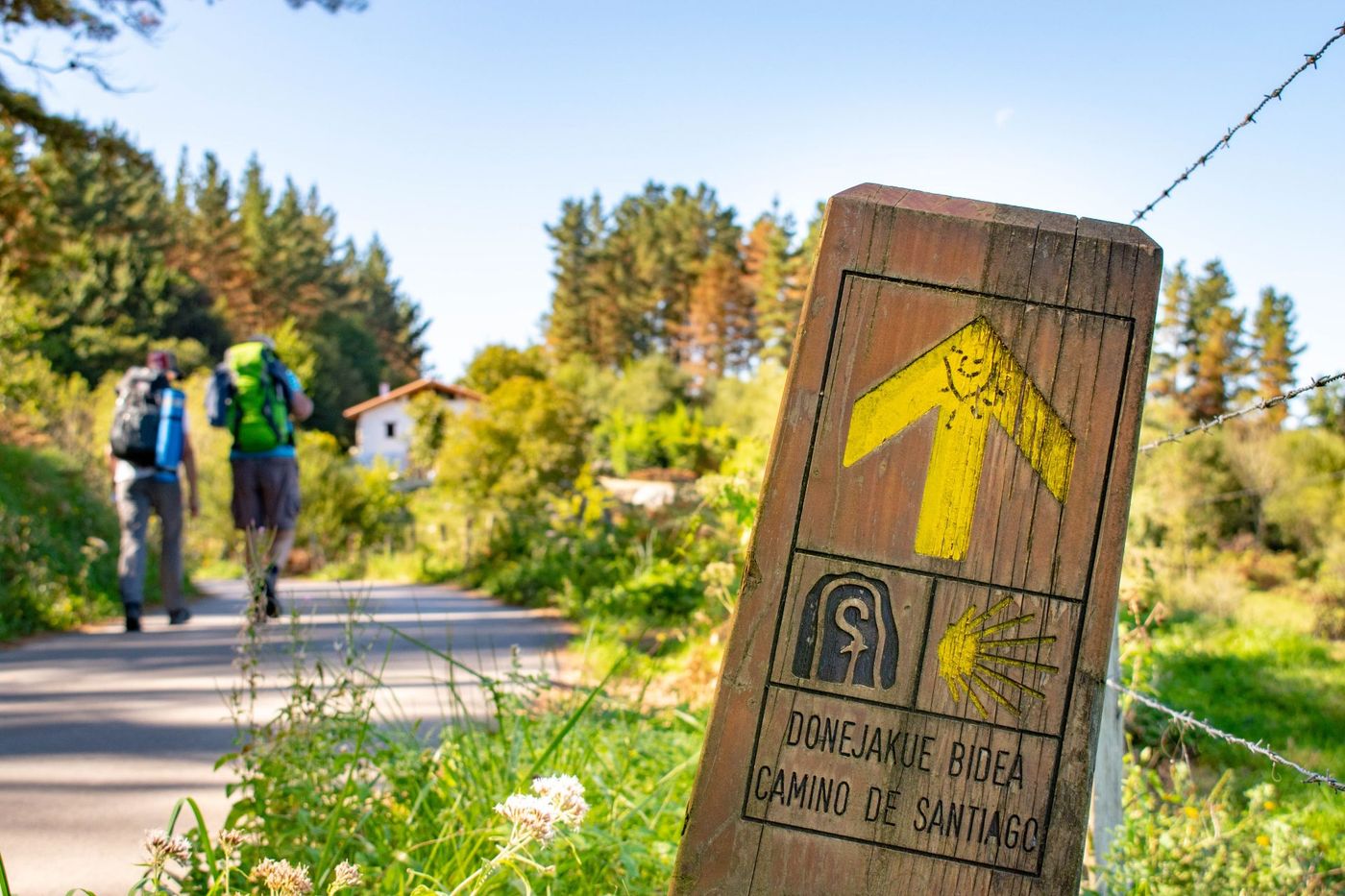 Way-to-Camino-de-Santiago-Spain-with-the-yellow-mark