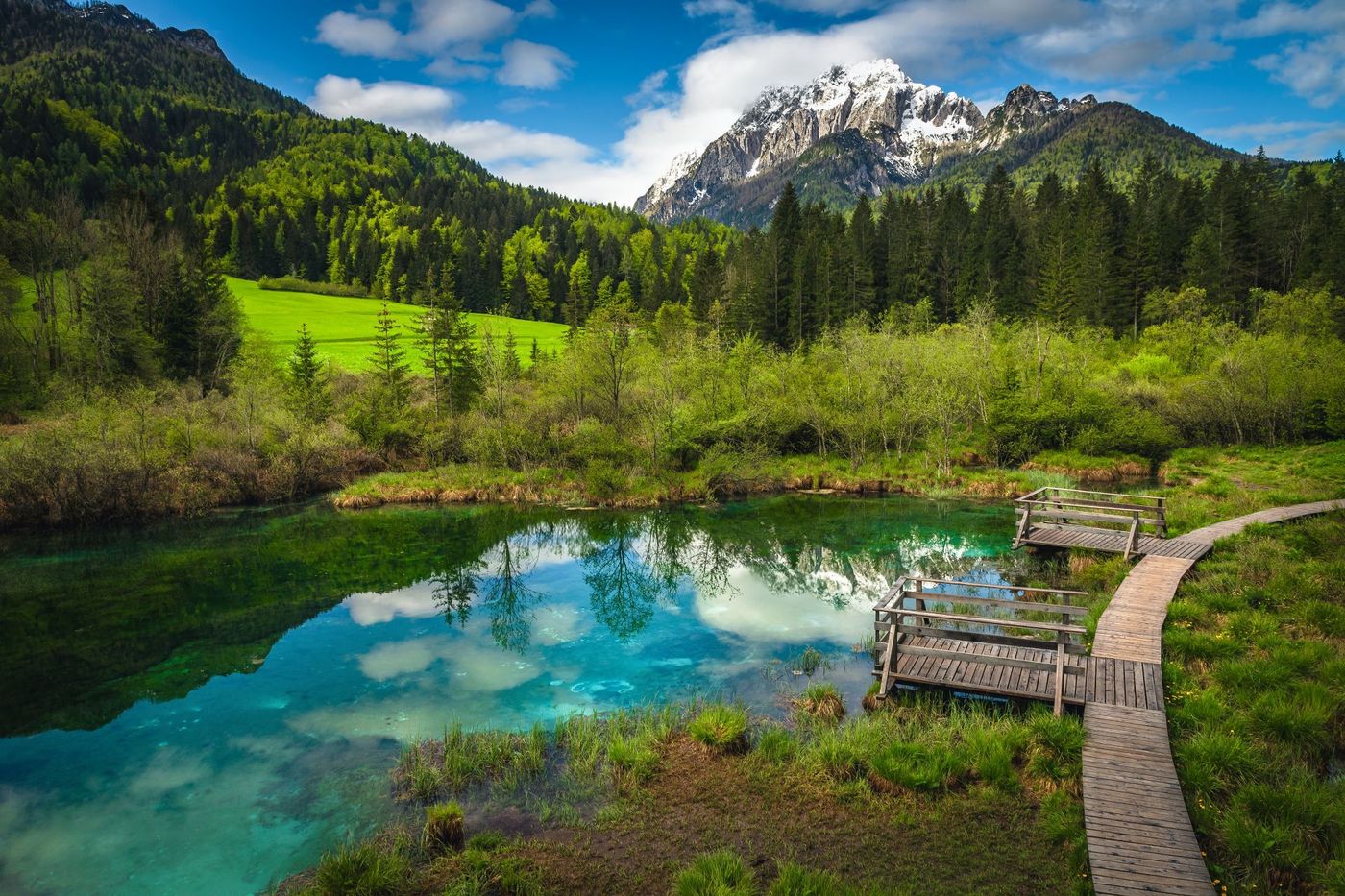 Wooden bridge and walkway near Lake Zelenci