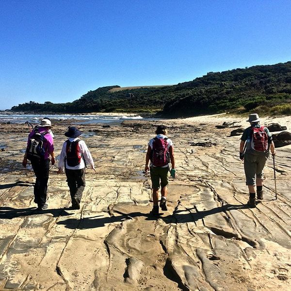 austrek tours