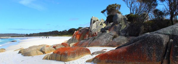 bay of fires tasmania weather