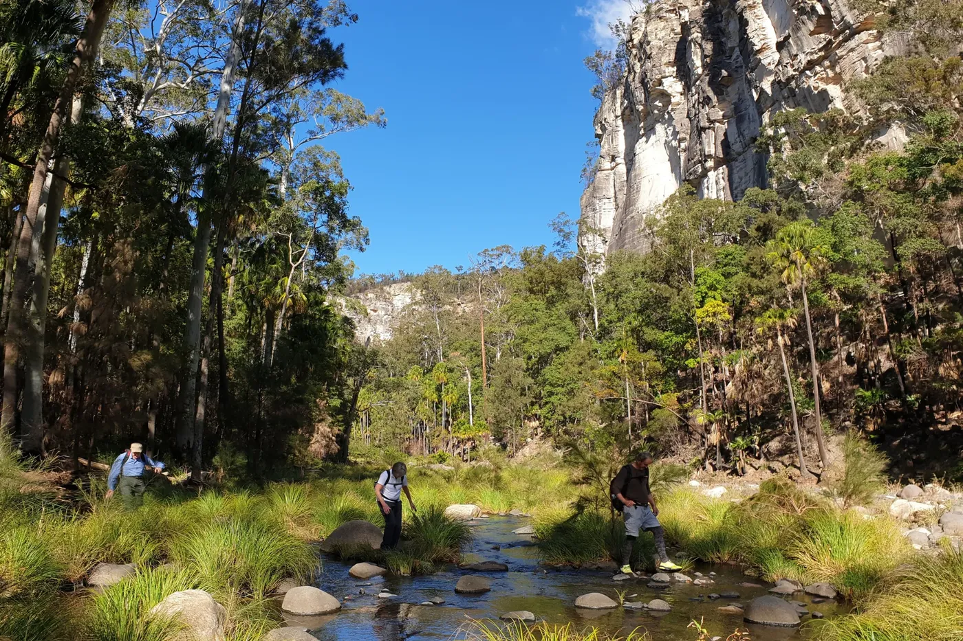big bend walk