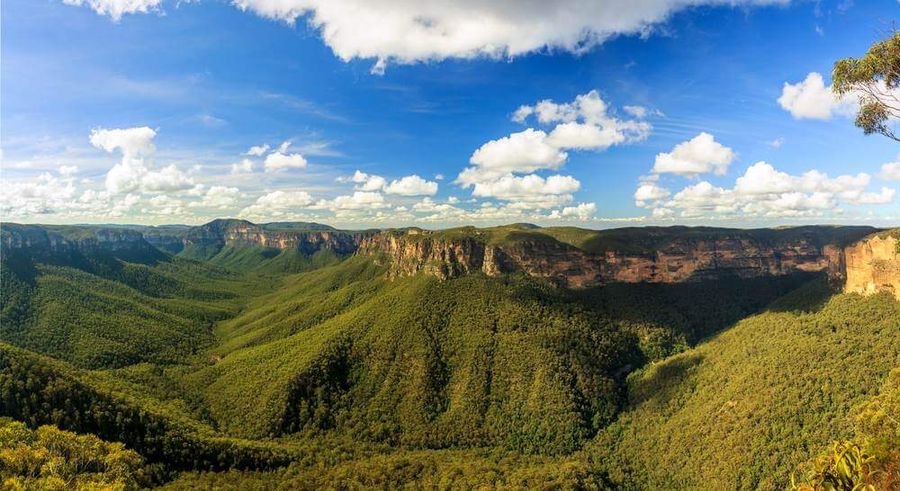 blue mountains walking tours