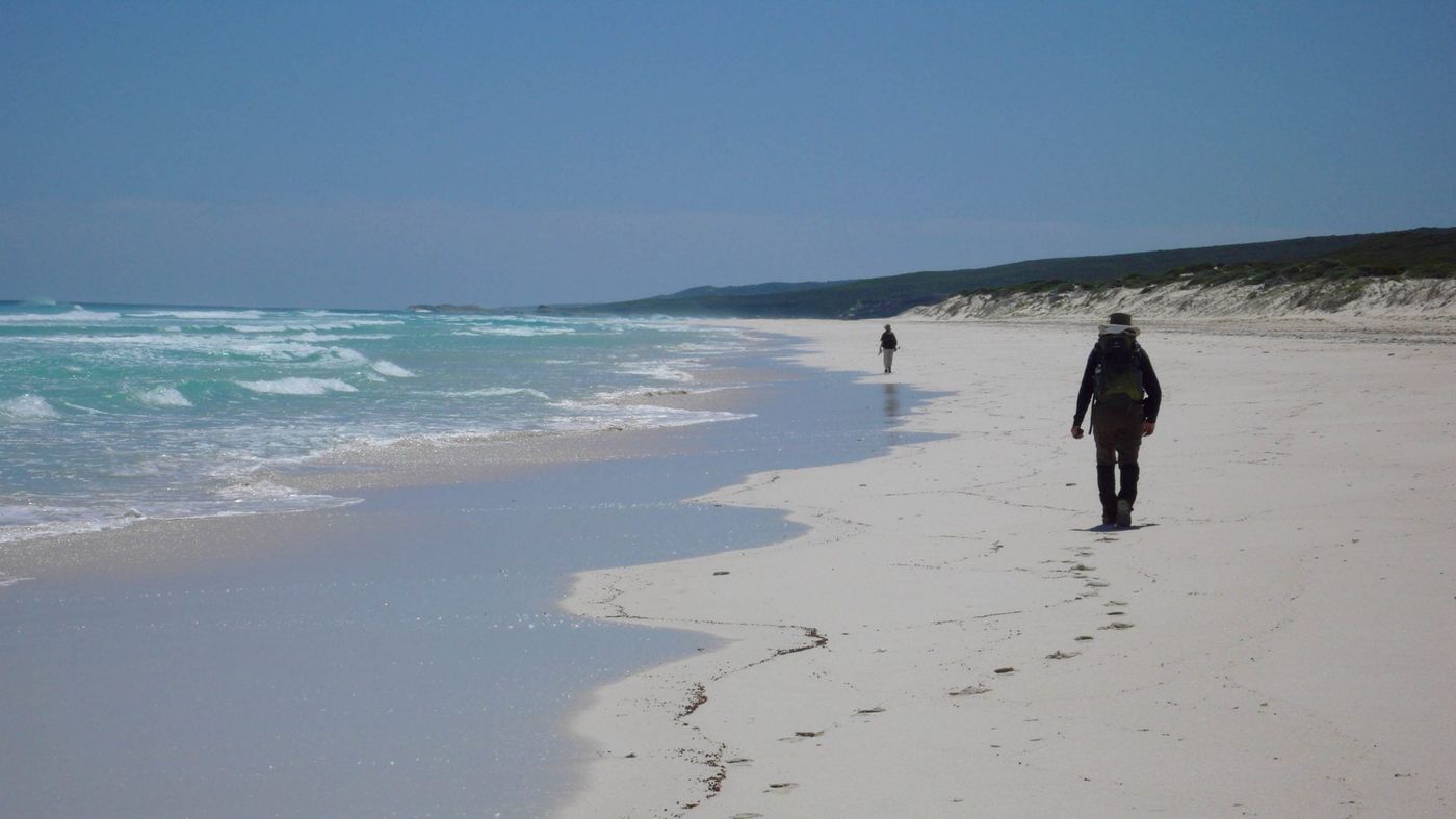 cape to cape track