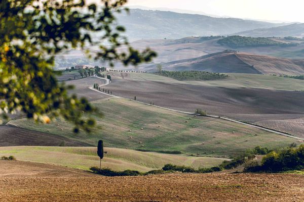 crete senesi rolling hills