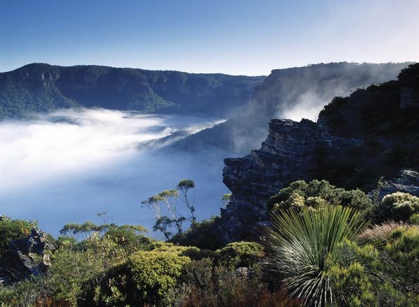eagle view blue mountains