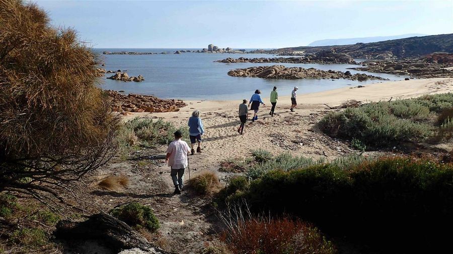 flights to flinders island