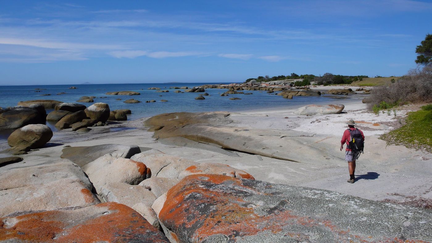 flinders island population