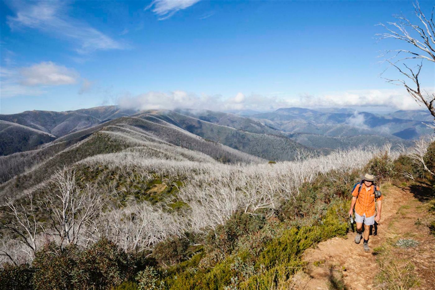 great alpine walk