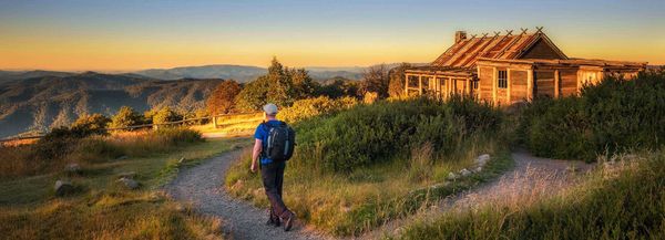 highest mountain in australia