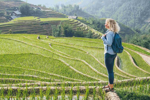 hiker rice terrace
