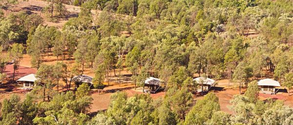 ikara safari camp overhead view