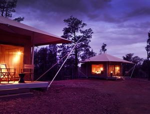 ikara safari camp tents at night