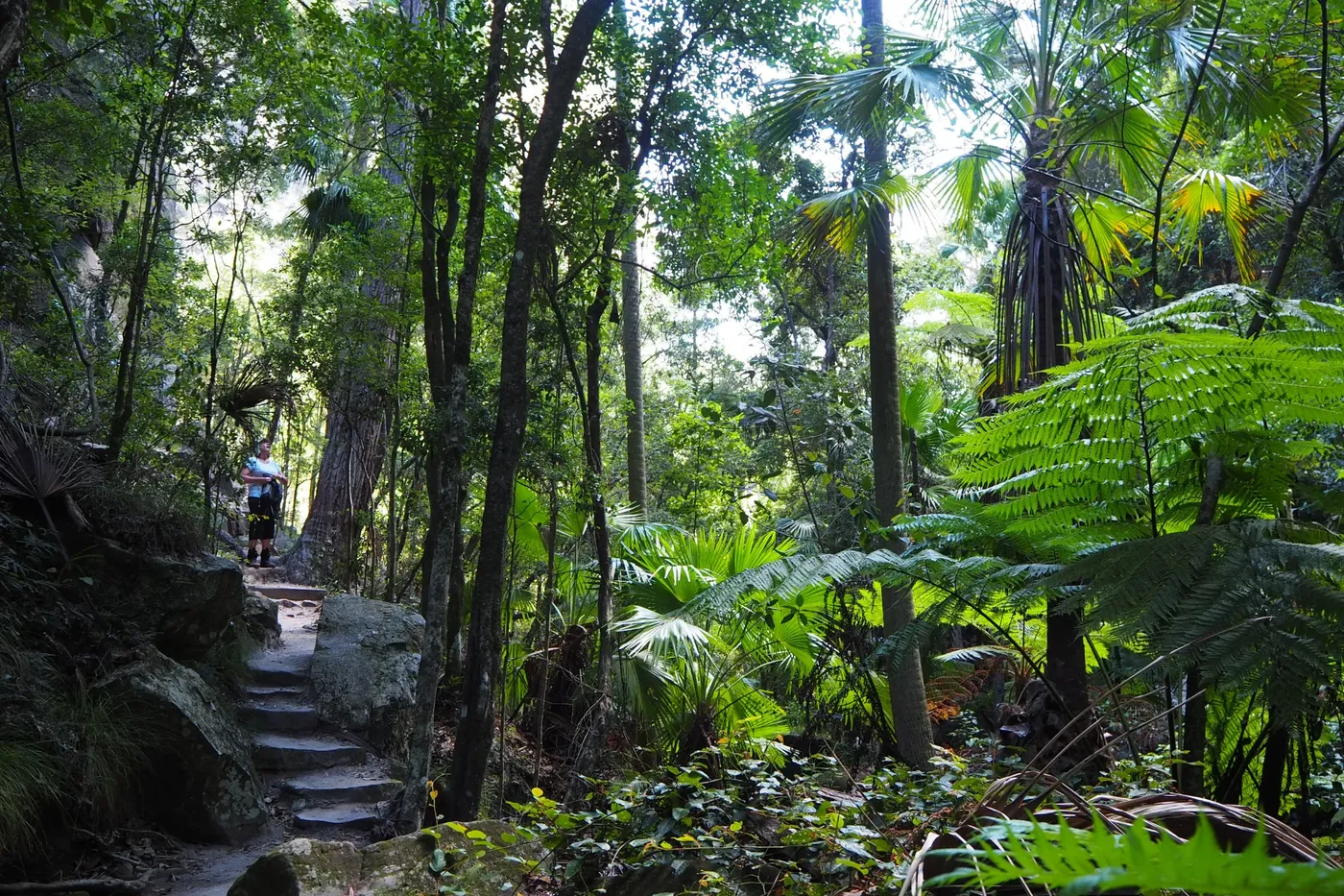 moss garden walk
