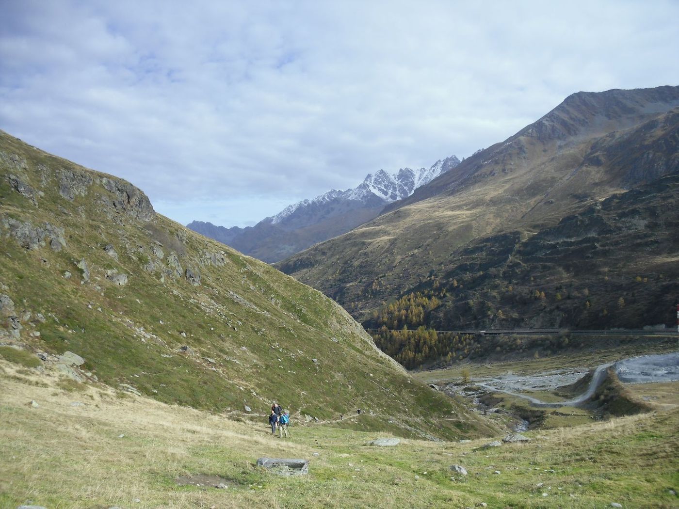people walking