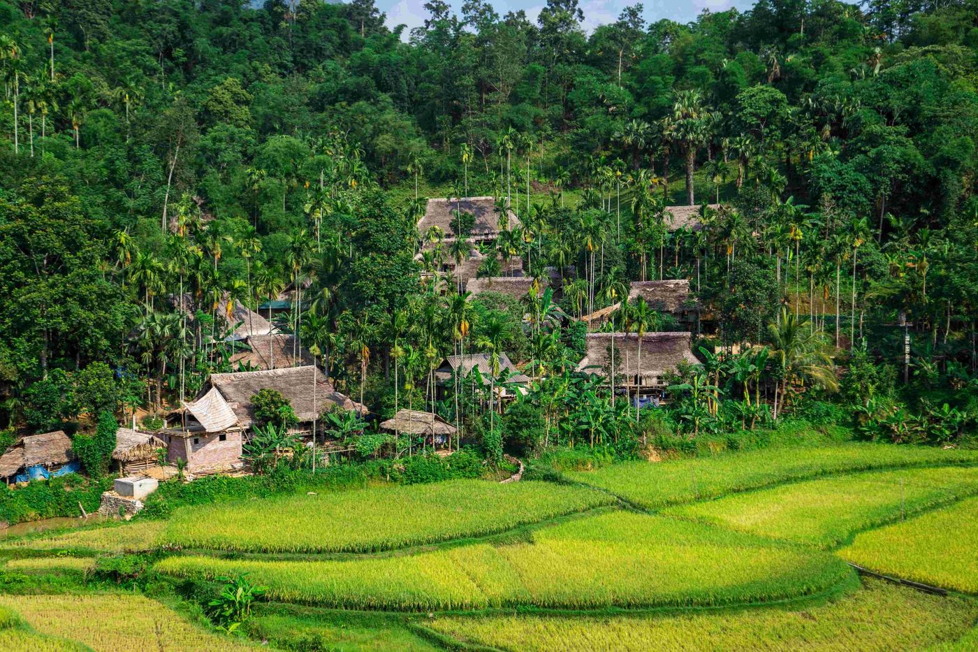 pu long