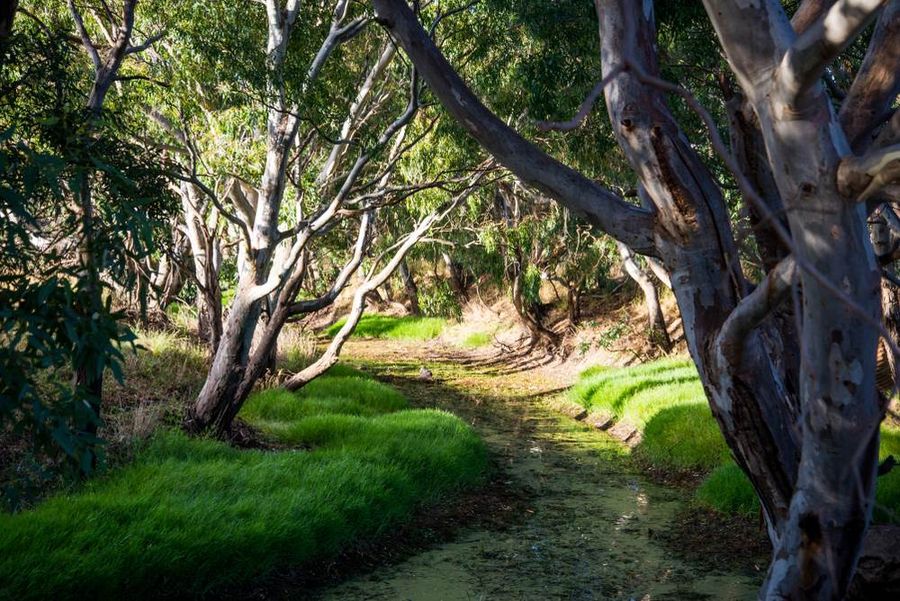 Walking Trail Grampians