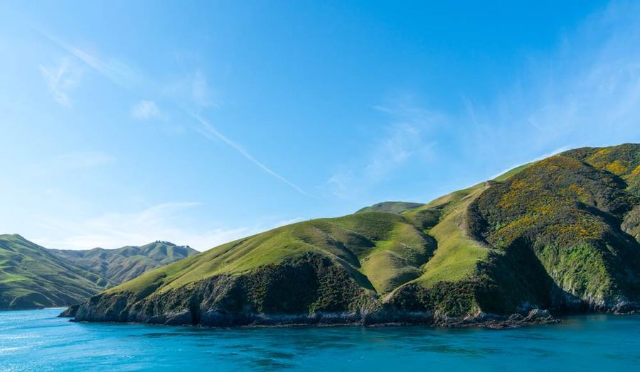 queen charlotte walk nz