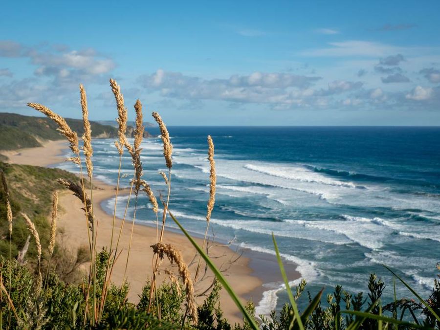 Beach view Great Ocean Walk