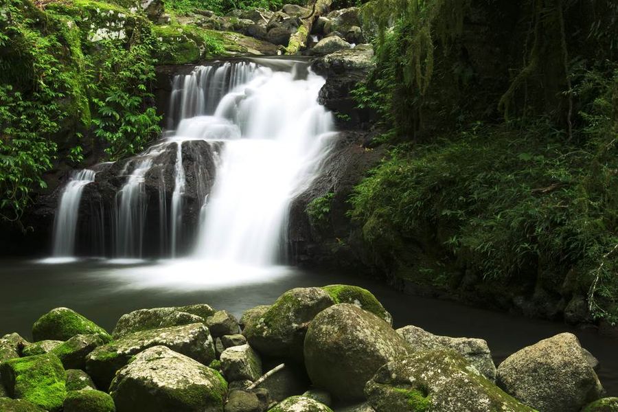 Waterfall Gold Coast Hinterland