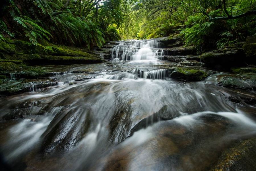Blue Mountains