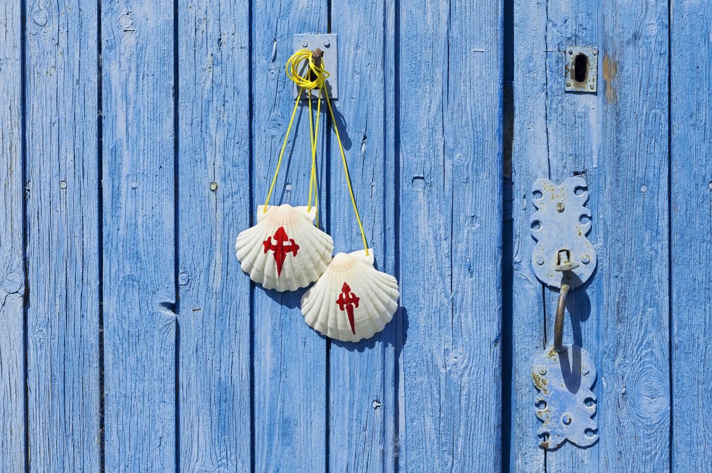 shutterstock_450177094.jpg