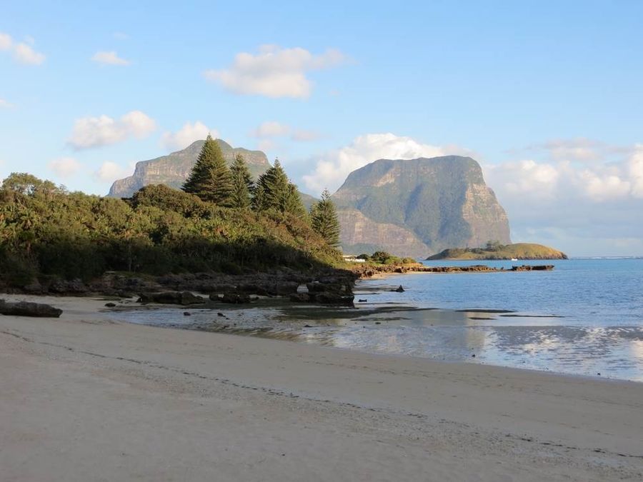 Lidgebird and Gower Lord Howe Island