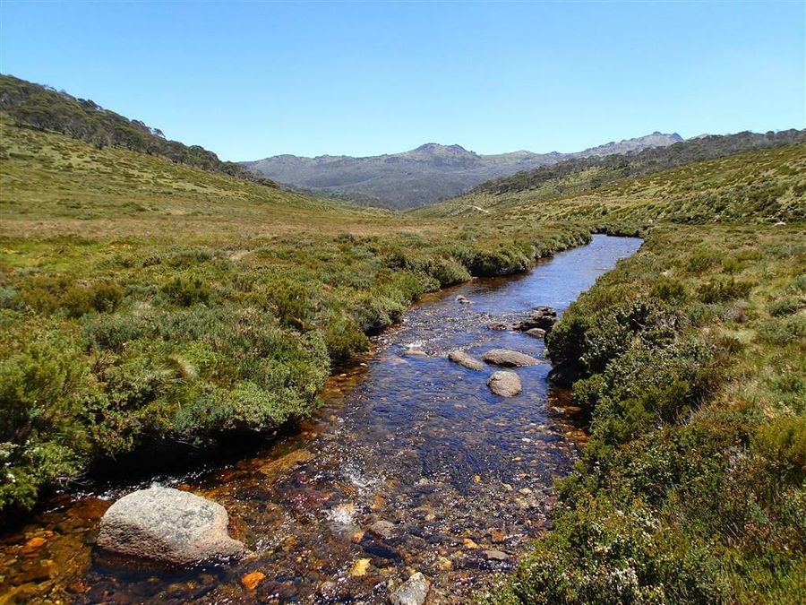 snowy mountains holiday packages