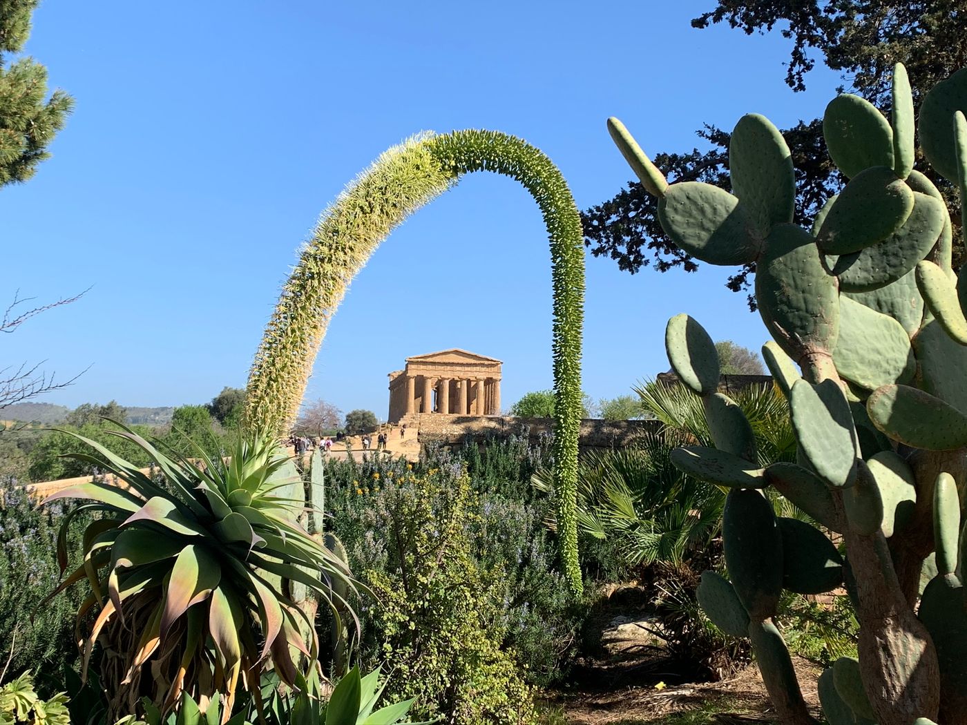 tempio della concordia agrigento