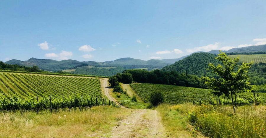 tuscany italy weather