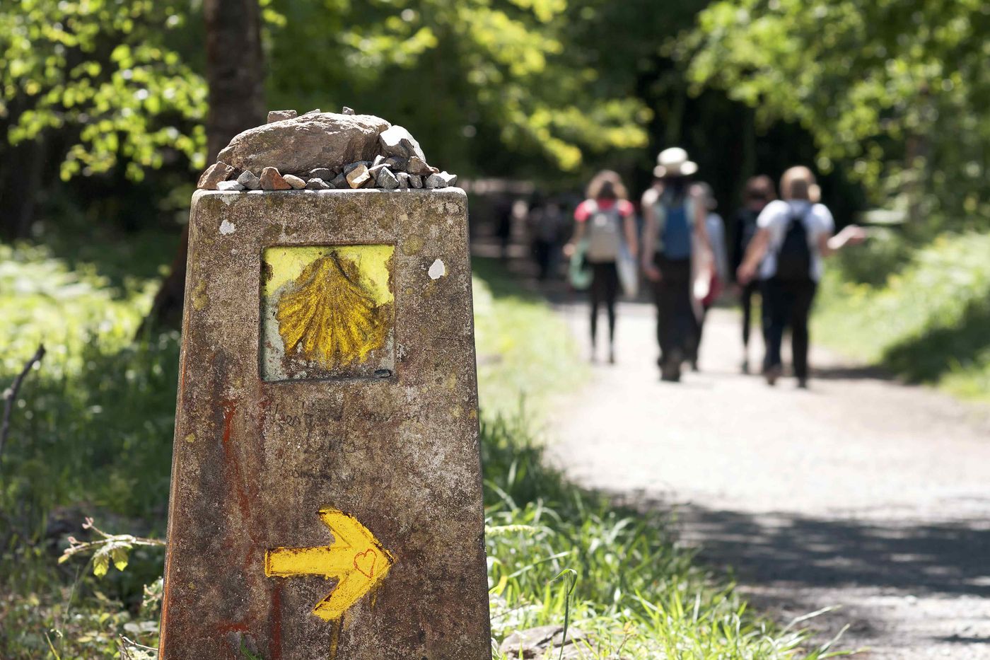 walkers camino primitivo 2 a