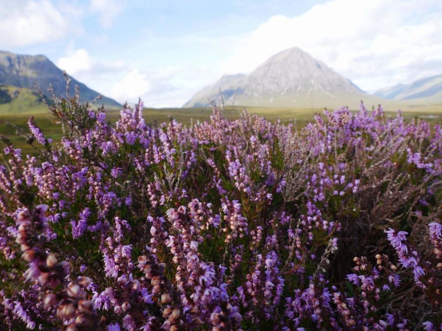 west highland way scotland